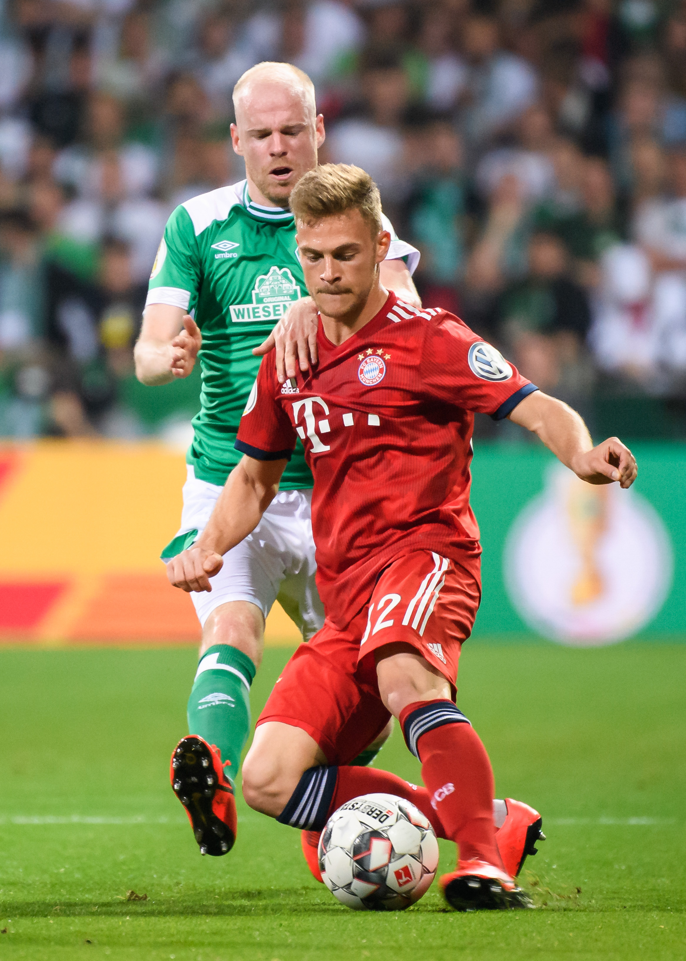 不只属于奔 不只属于奔