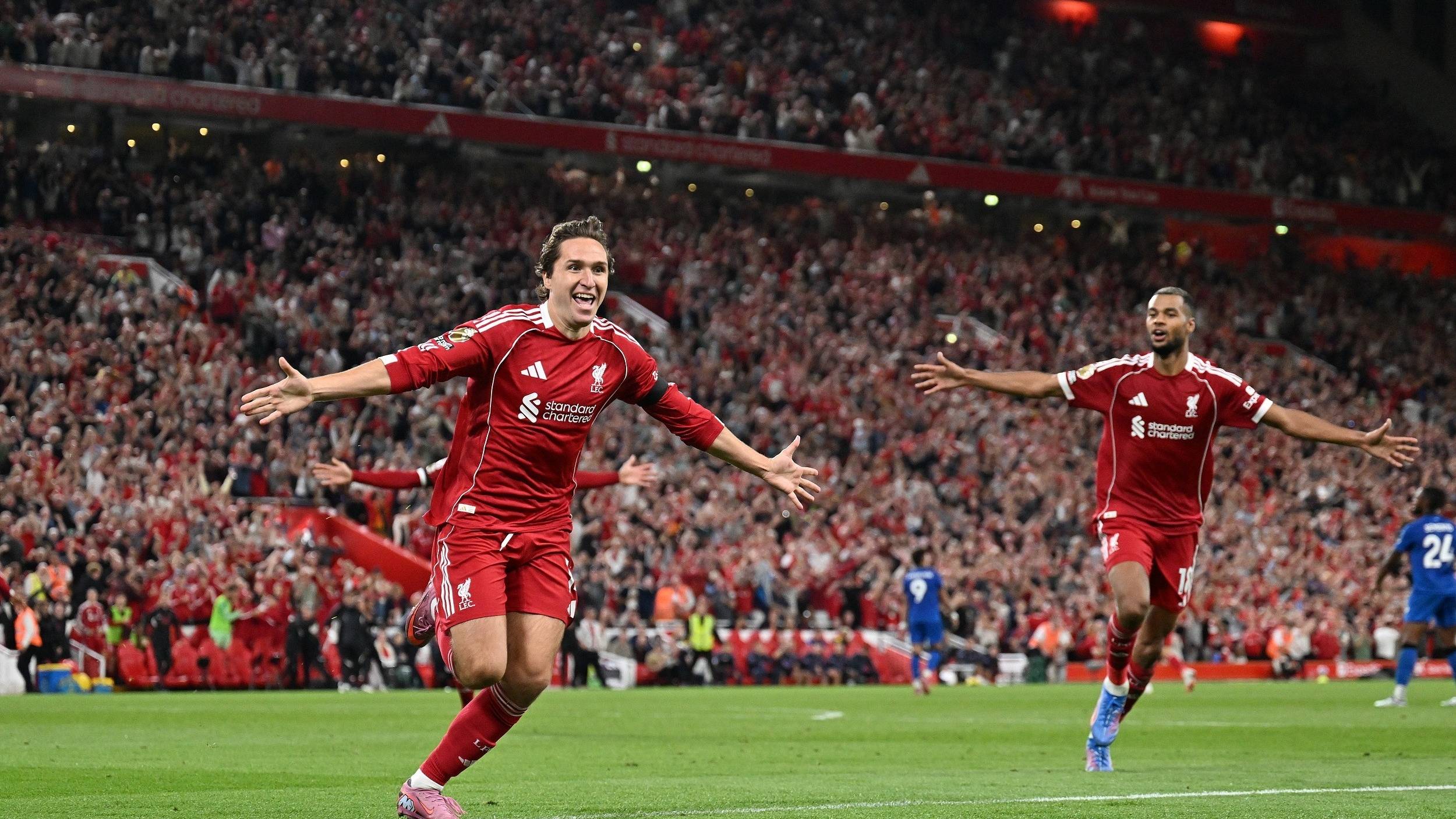 我们不仅看 我们不仅看