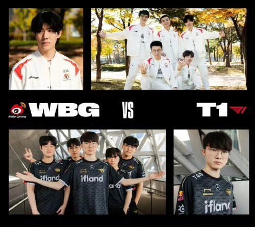 球观众的尊 球观众的尊