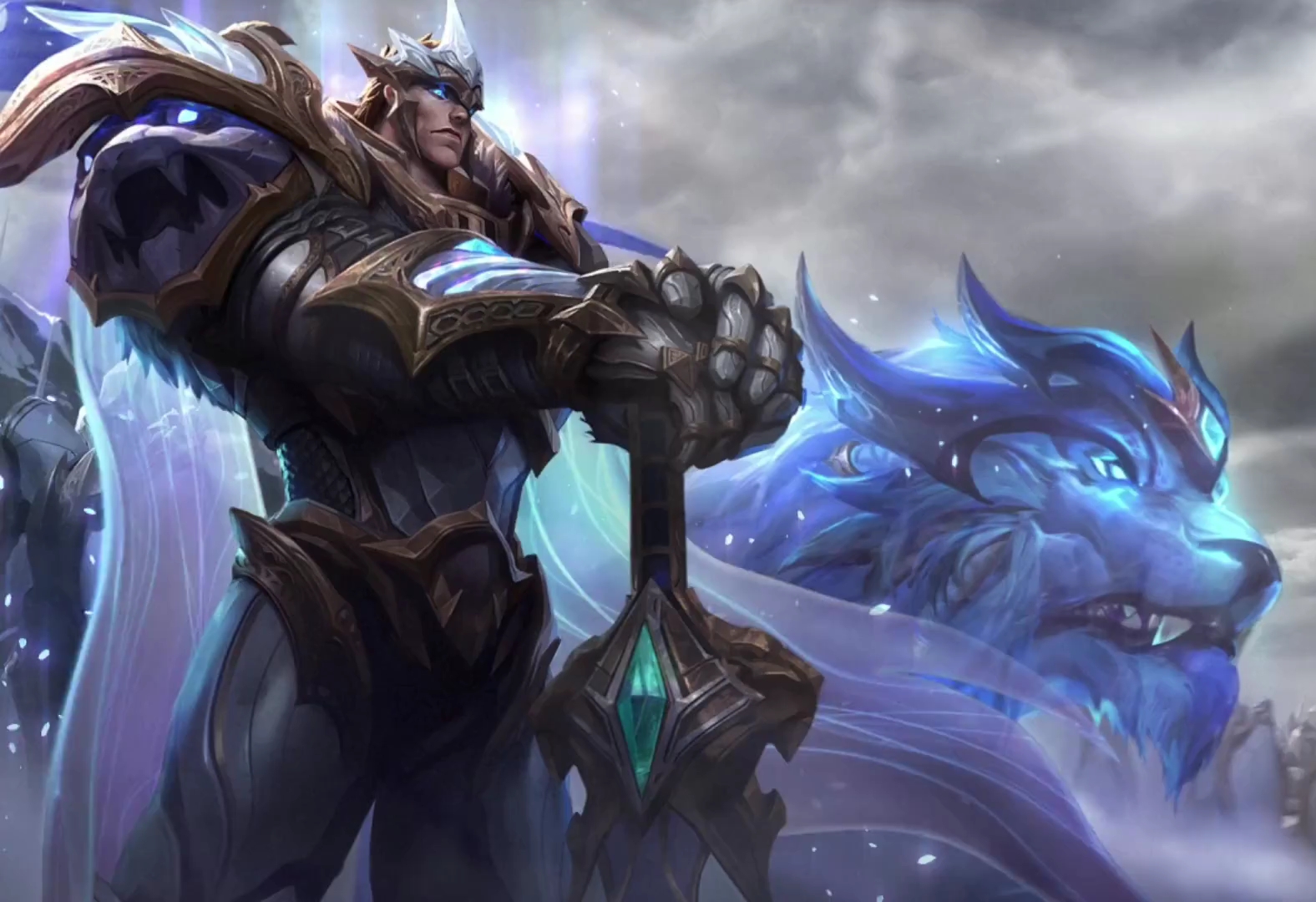 者的关注 者的关注