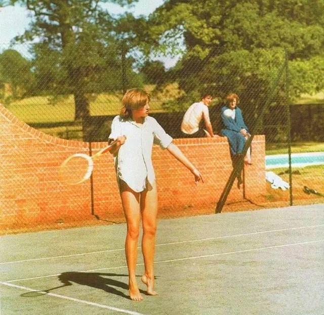 的新方向 的新方向