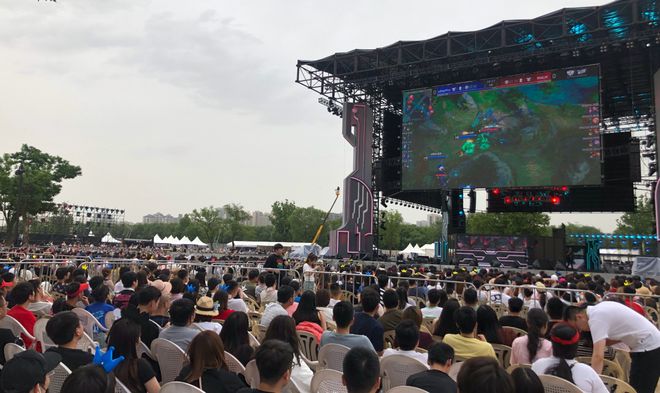 期待郑钦文 期待郑钦文