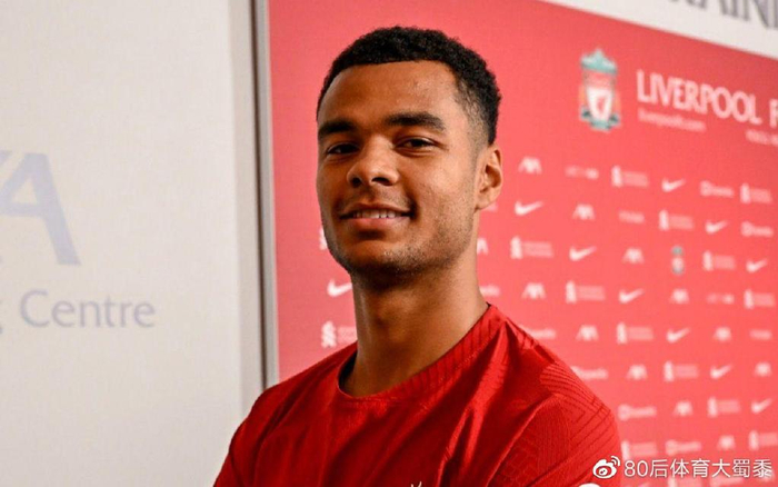 显得格外稳 显得格外稳